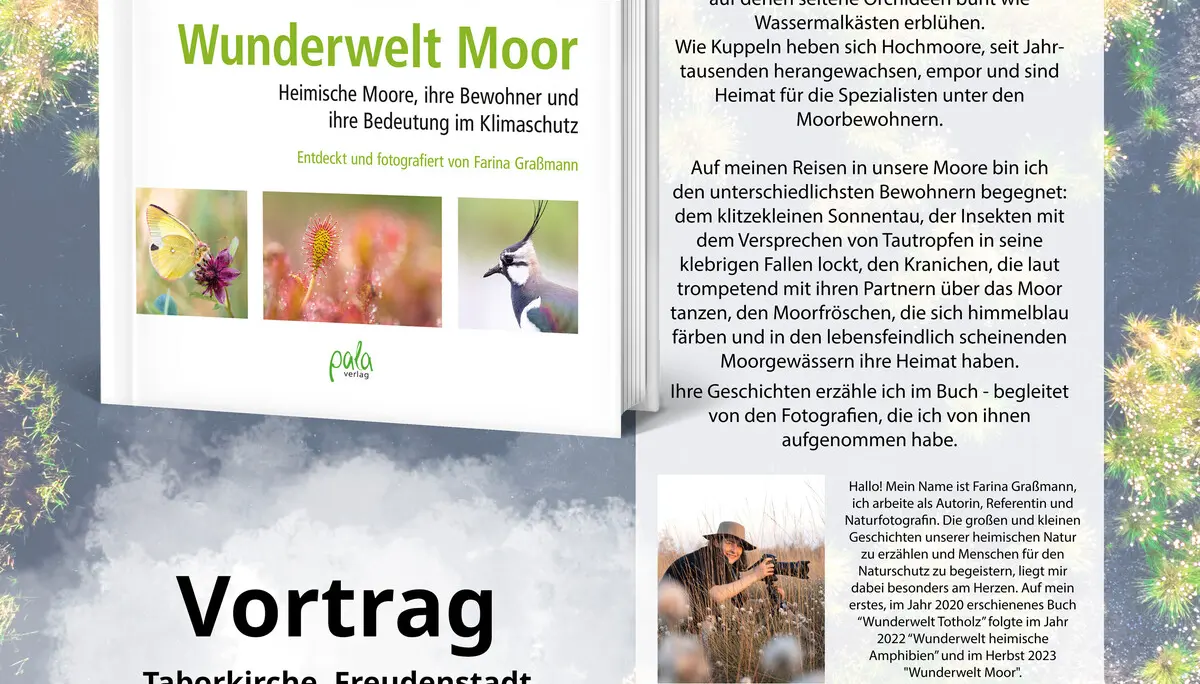 © Farina Graßmann