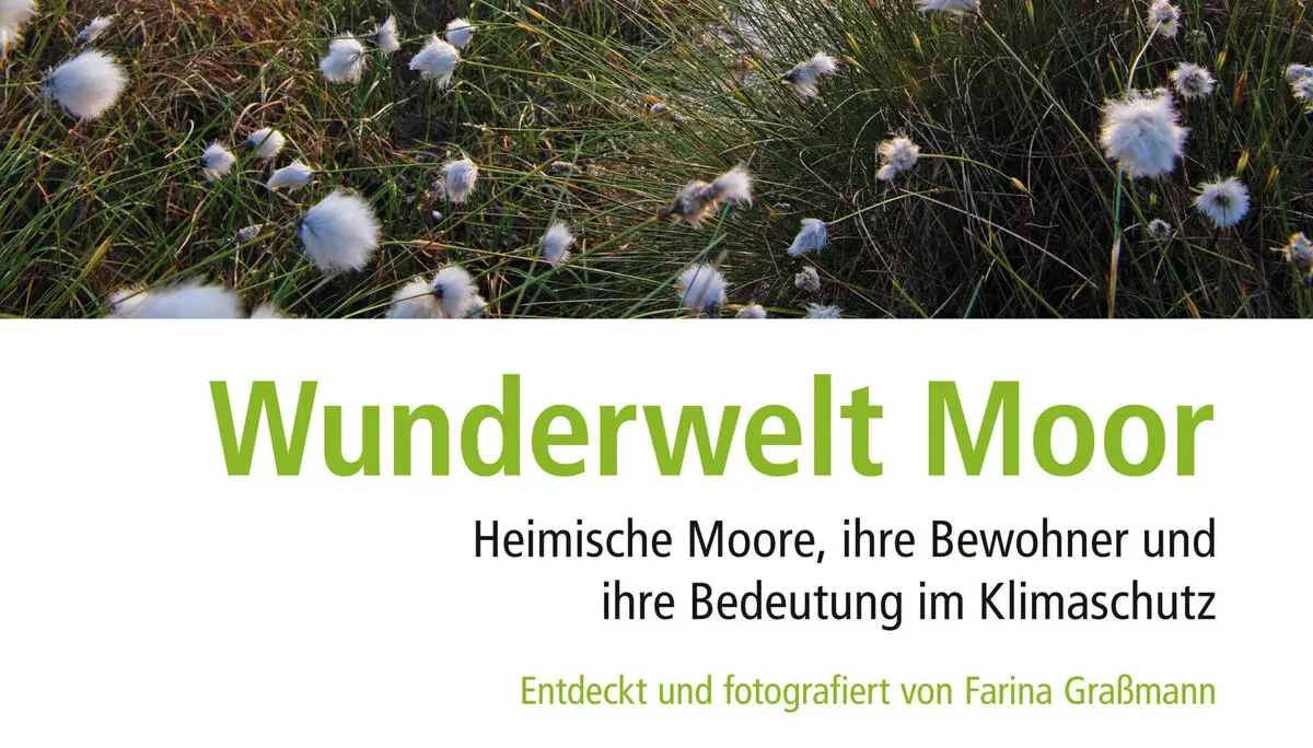 © Farina Graßmann