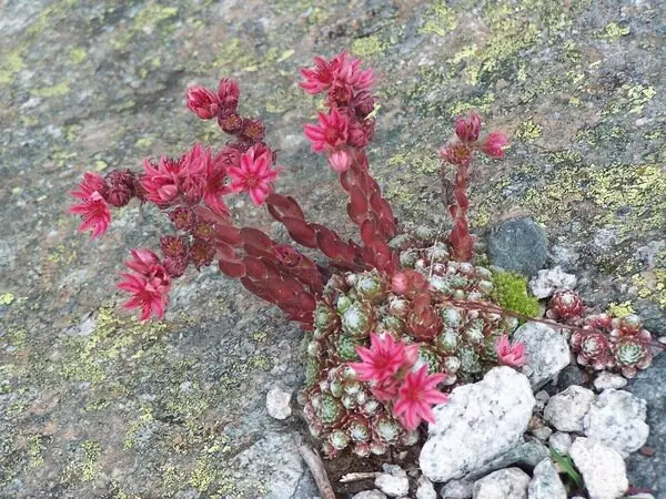 © 	 DAV Freudenstadt