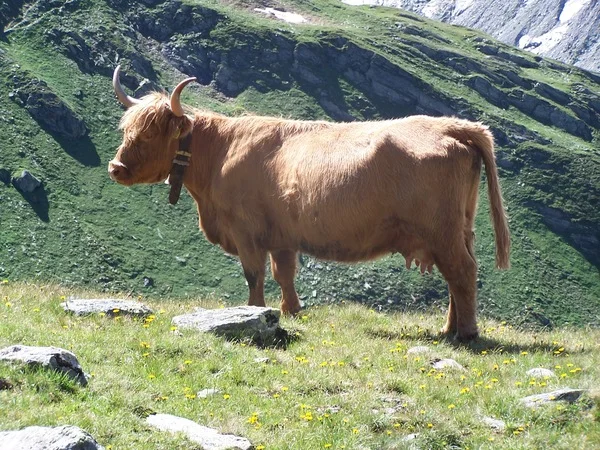 © 	 DAV Freudenstadt