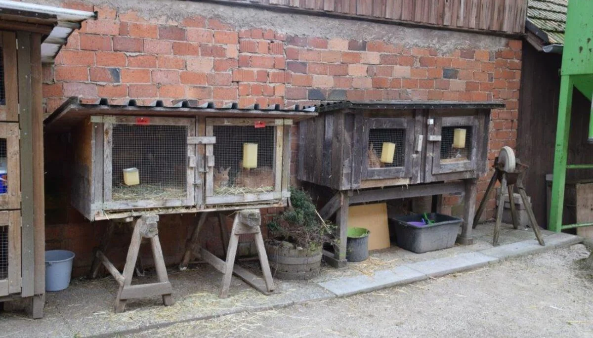© DAV Freudenstadt