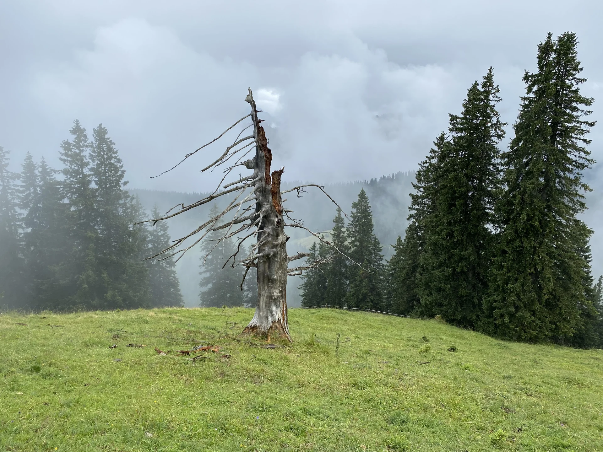 © DAV Freudenstadt