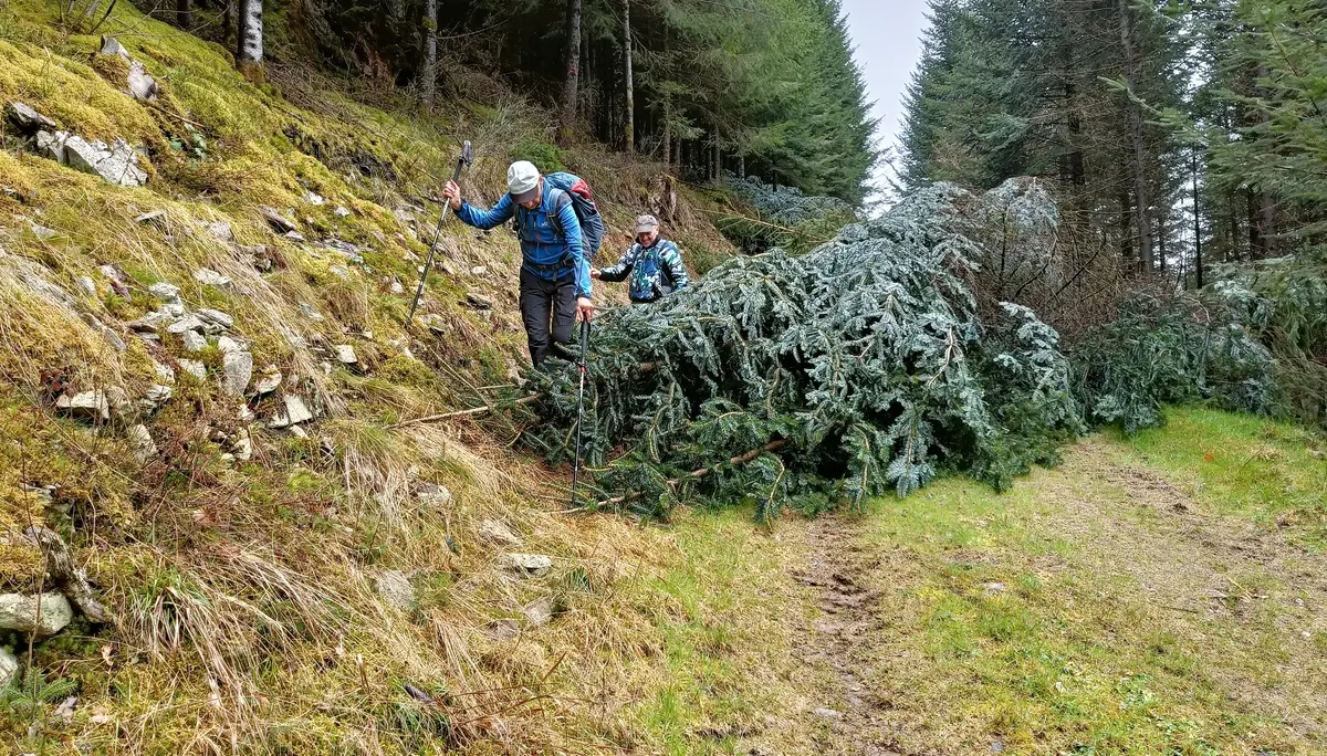 kleines Hindernis | © DAV Freudenstadt