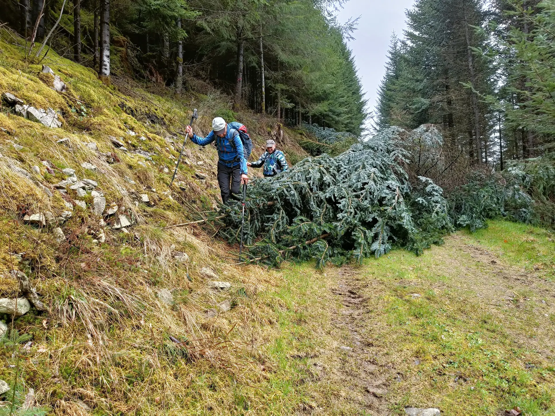 kleines Hindernis | © DAV Freudenstadt